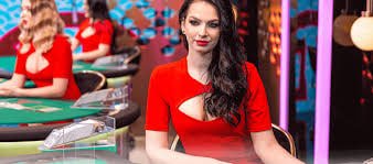 subu88 tips strategi bermain bingo kartu pilih room jackpot progresif menang
